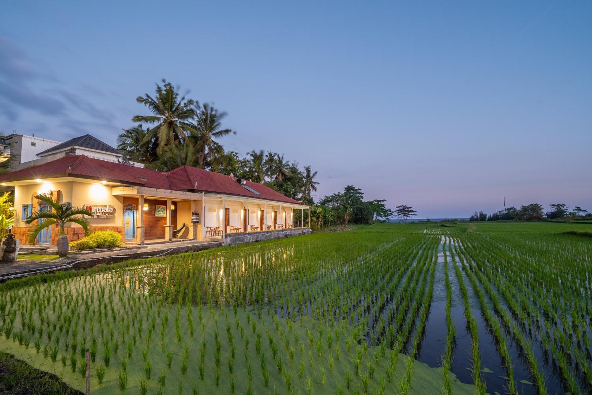Nirmala Guest House Surf Keramas Exterior foto